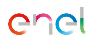 Enel Logo